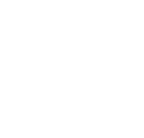 Carclean