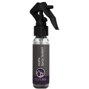 Matte Spray Sealant 100ml