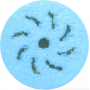 Microfiber Polishing Pad blue 130/150 мм