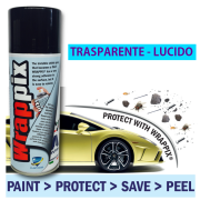 PAINT PROTECT 400 ml