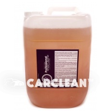 Professional Wheel Cleaner Concentrate 10L