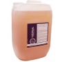 Professional Wheel Cleaner Concentrate 10L
