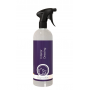 Interior Dressing 750 ml